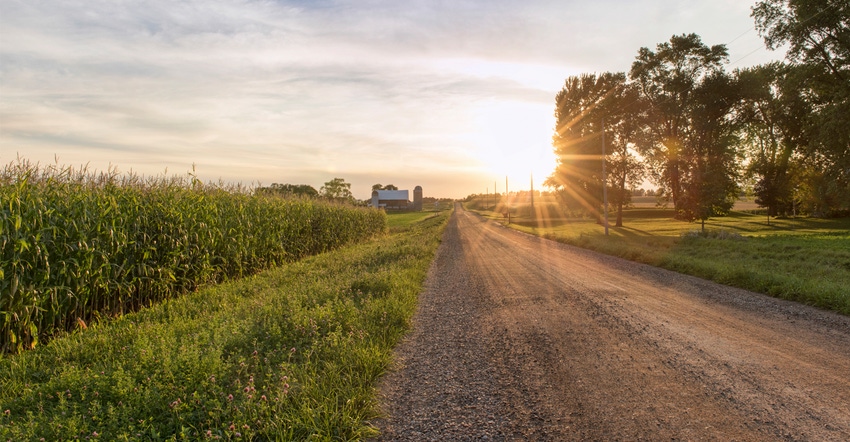 sunsetting over corn field with dirt road and barn