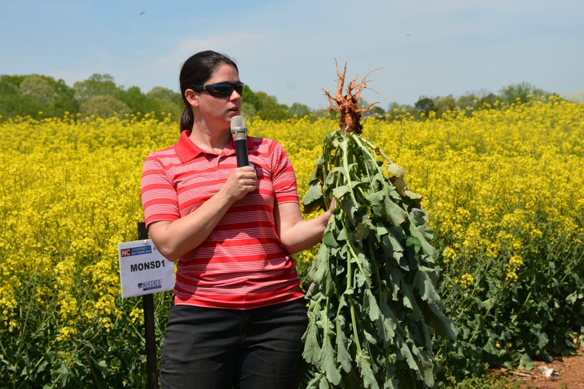 Canola_Angela_Posrt.jpg