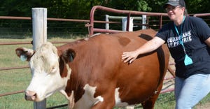 Kerri Steinbrecher, Milaca, takes a turn at sorting and moving cattle