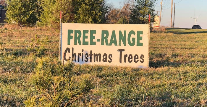 sign for free-range Christmas trees