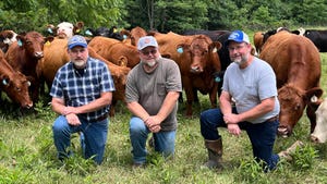 Dan, Bill and Mark Wickerham kneeling in front of cattle