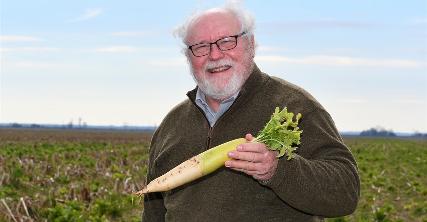 dfp-adismukes-sledge-taylor-tillage-radish-for-online.jpg dfp-adismukes-sledge-taylor-tillage-radish-for-online.jpg