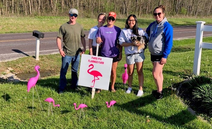 Paris FFA members place flamingos and a sign in member yards to bring them a smile during Covid times