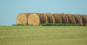 bales of hay in field
