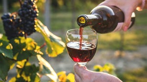 A hand pouring red wine into a glass near a vine of grapes