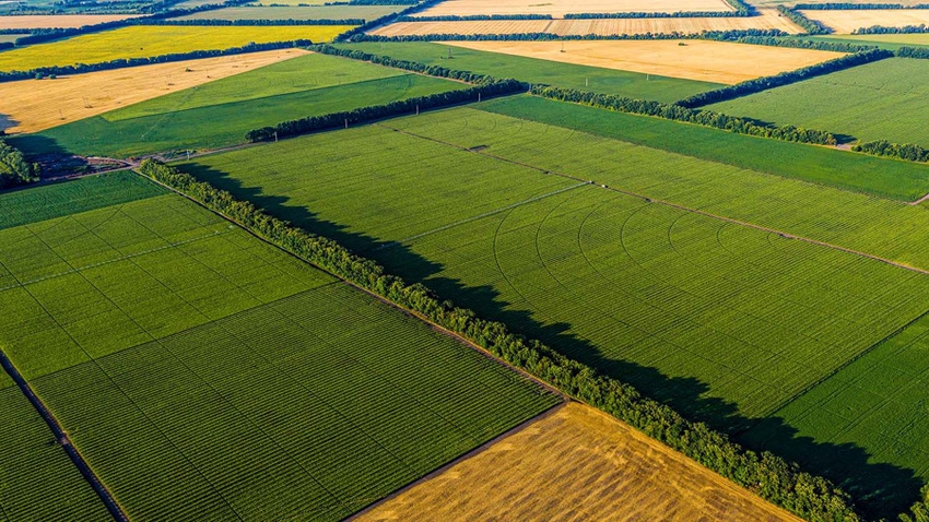 Aerial farm fields