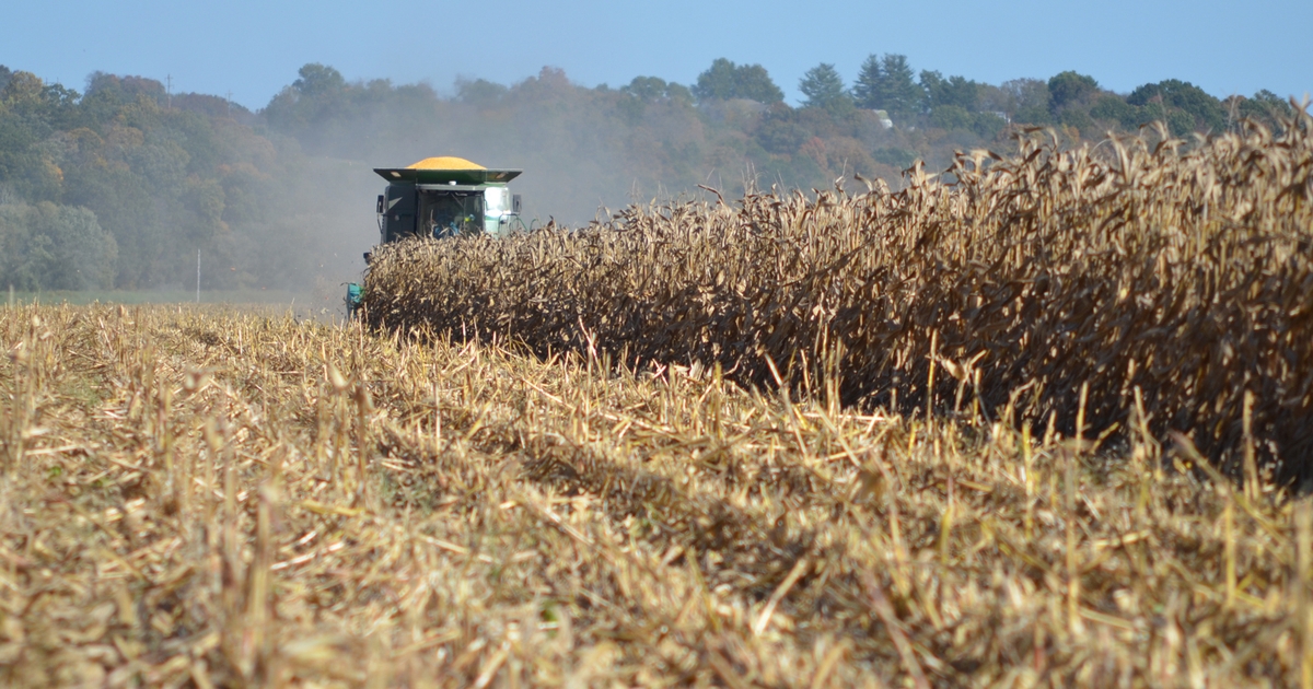 6 sessions to attend at MU Crop Management Conference