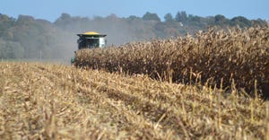John Deere combine harvesting mature corn