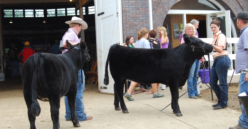 educators from ISU extension standing with youth and cattle