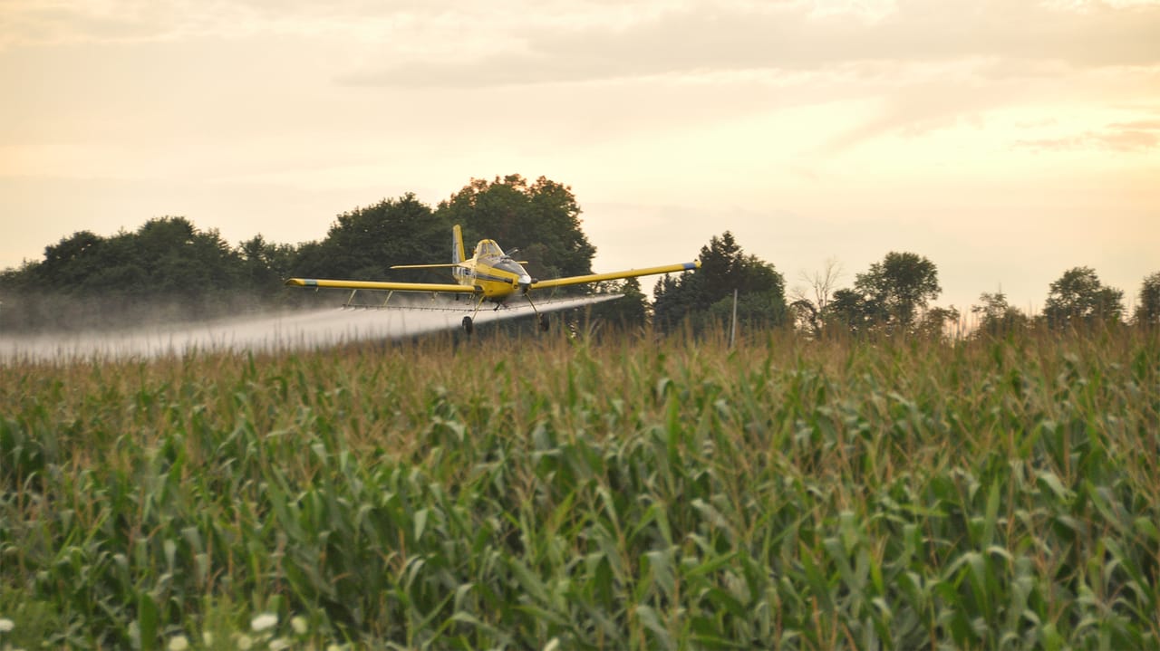 Fungicide timing matters more than early sprays