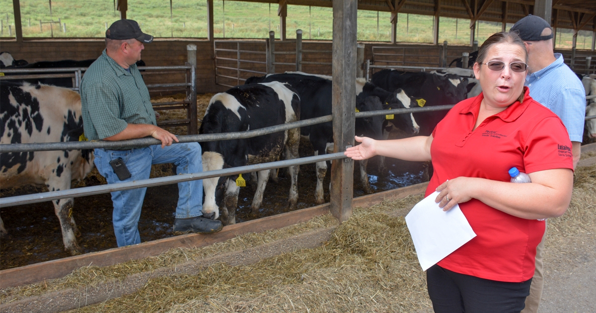 Value of genomic testing on display at University of Maryland dairy