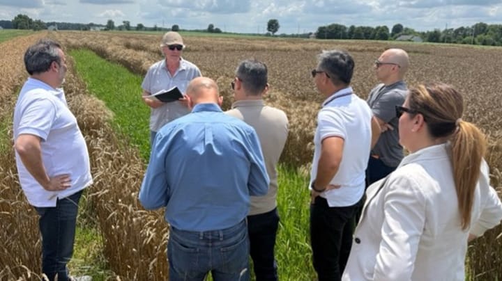 Brazilian buyers get up-close look at Ohio wheat