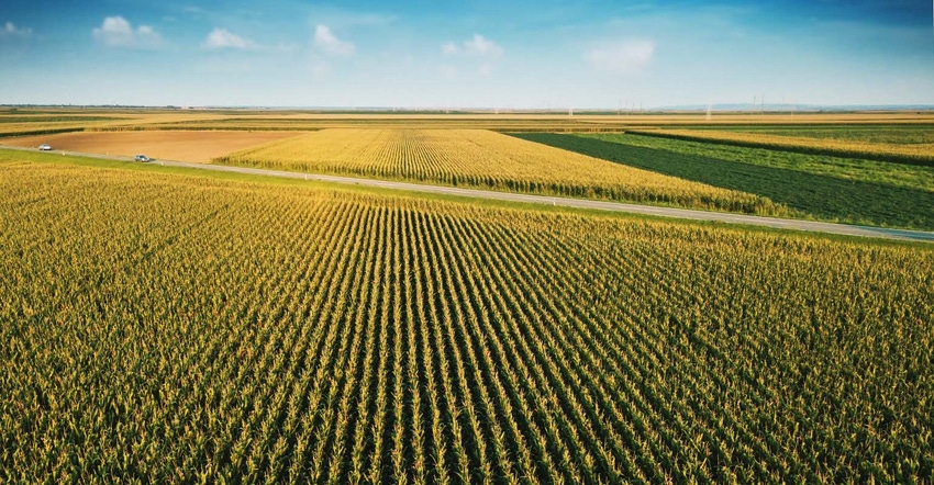 Aerial view of cornfield landscape.