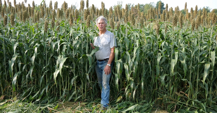 Crop adviser Tom Kilcer stands beside a field of sorghum