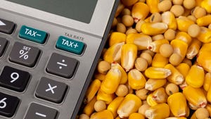Corn and calculator