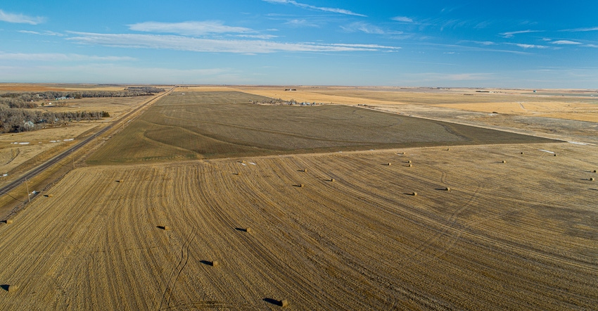 Hay in harvested winter fields Hay in harvested winter fields