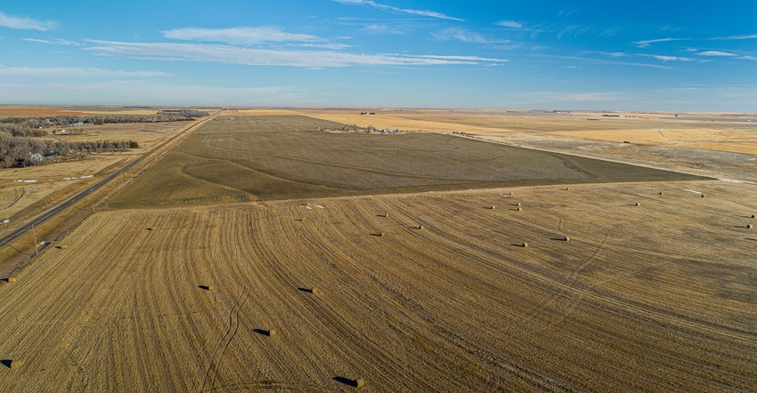 Hay in harvested winter fields