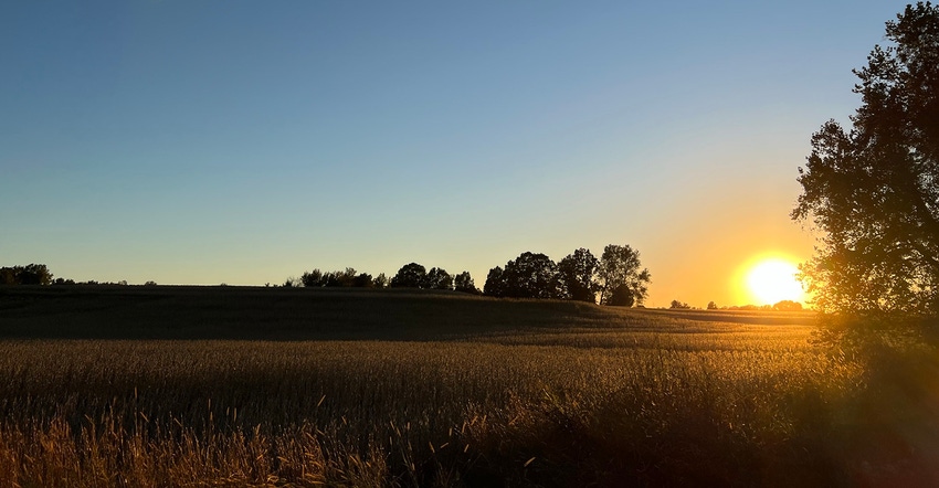 soybeansunrise-brent-0014.jpg soybeansunrise-brent-0014.jpg