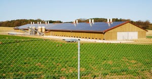 Poultry operation with solar panels on roof