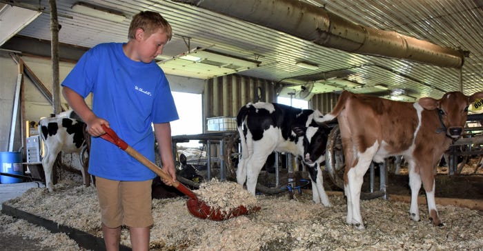 Samuel Churchill removes soiled bedding from the calving area at Wonder Way Farm in Cabot
