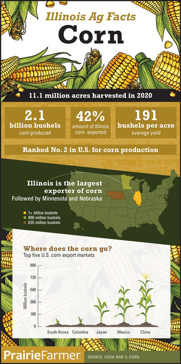 Illinois Corn Facts infographic