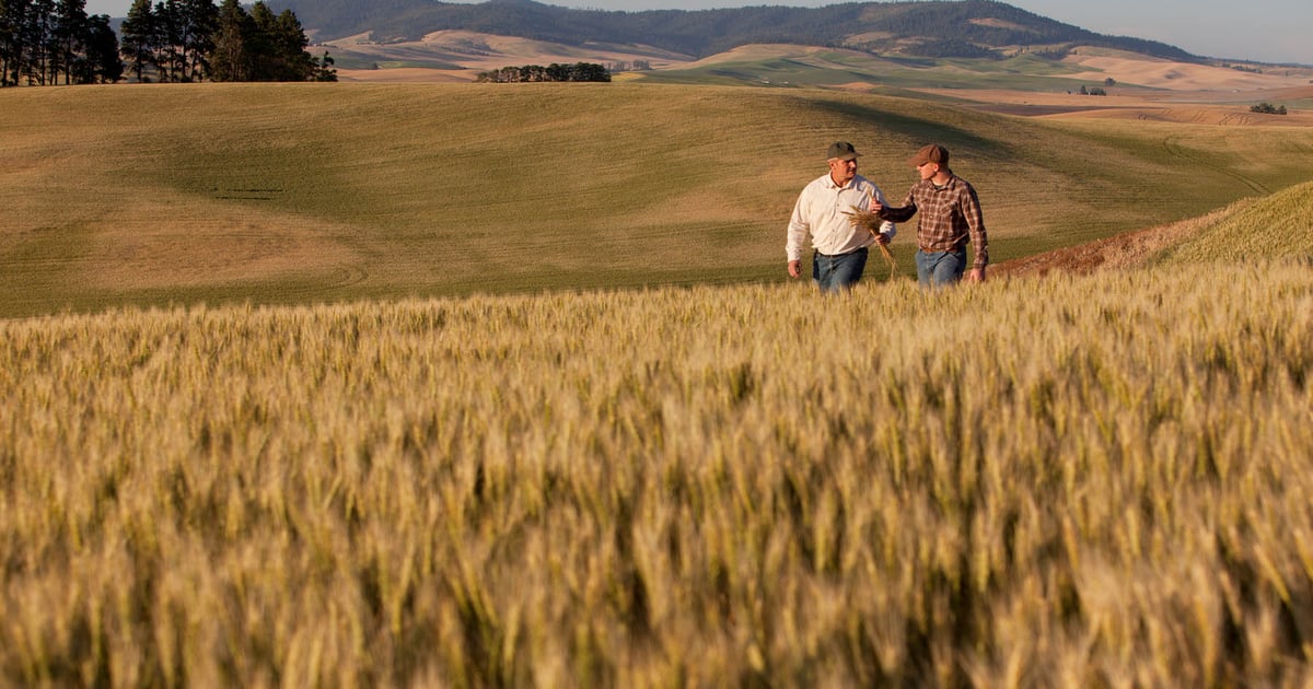 Building and leveraging an advisory team for your farm