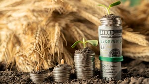 Money growth concept image of coins and dollar bills with soil and leaves sprouting above