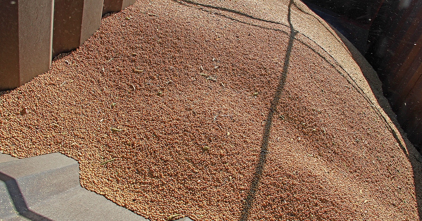 soybean-harvest-staff-dfp-5083copy.jpg soybean-harvest-staff-dfp-5083copy.jpg
