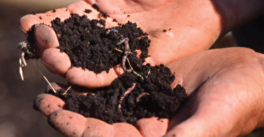 hands holding soil and worms