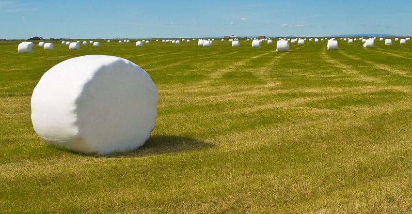 Hay bales wrapped in white plastic scattered across a green field