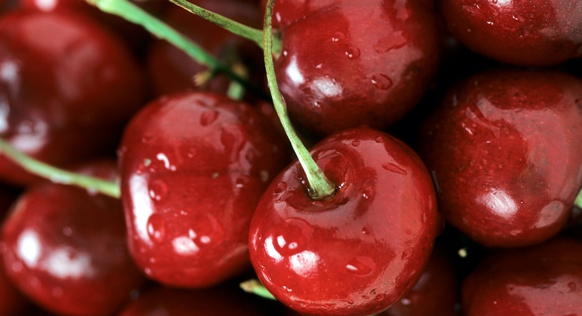 WFP-ARS-cherries.jpg