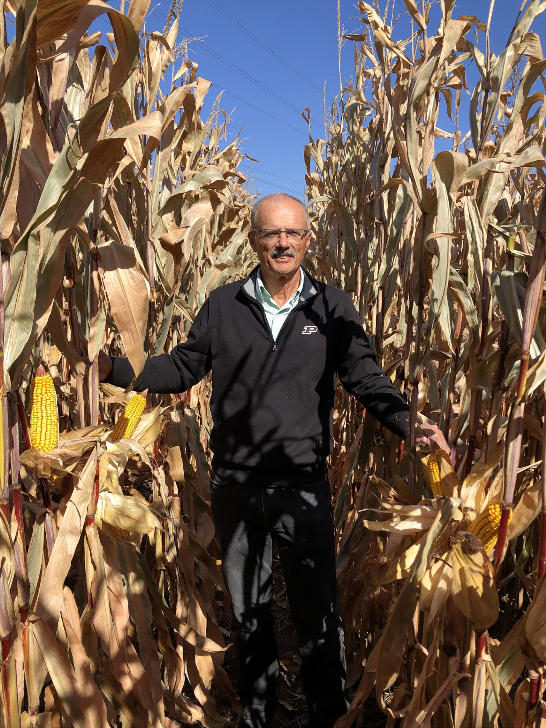 Tony Vyn standing in a dried-down cornfield