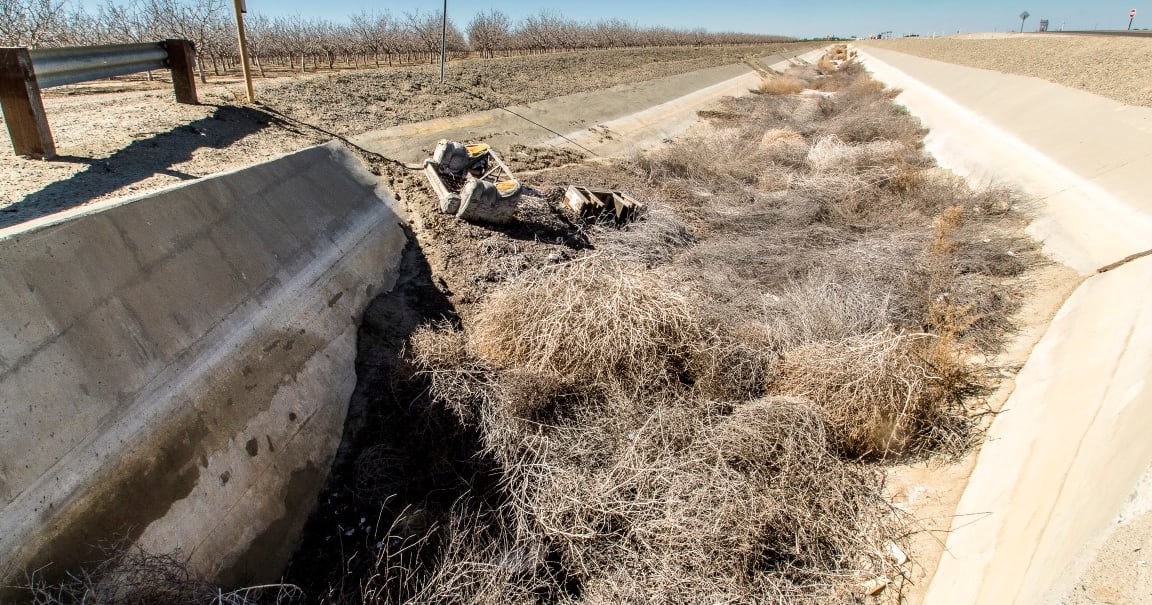 Tumbleweed Problem Goodbye tumbleweeds? USDA launches extinction plan