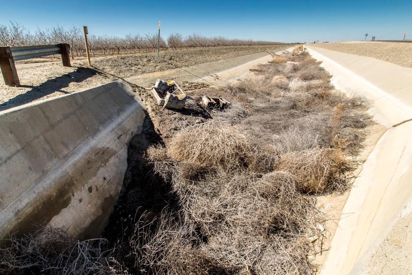 Goodbye tumbleweeds? USDA launches extinction plan