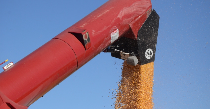 Grain auger with grain coming out of it