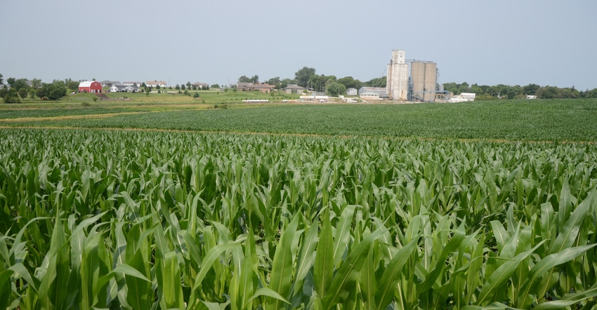 Corn field with farm and silo in background