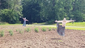 A pair of old-fashioned scarecrows in a farm field