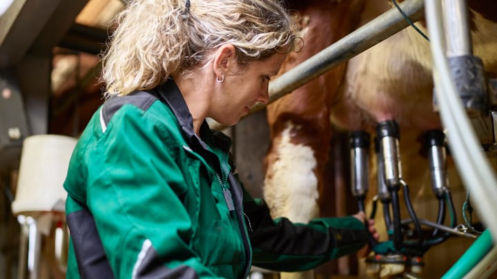 New dairy industry challenge: Balancing butterfat and protein