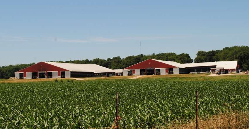 cornfield with barns in the background