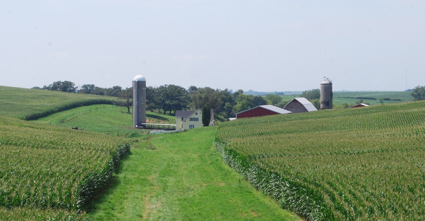 rows of corn and farm in distance
