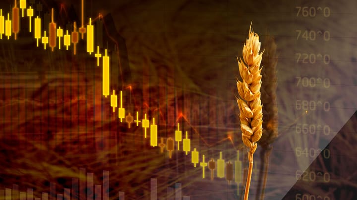 Monitor these 4 wheat market drivers as prices stabilize
