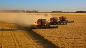 Three combines harvesting wheat