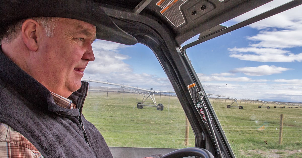 Getting greater pasture productivity