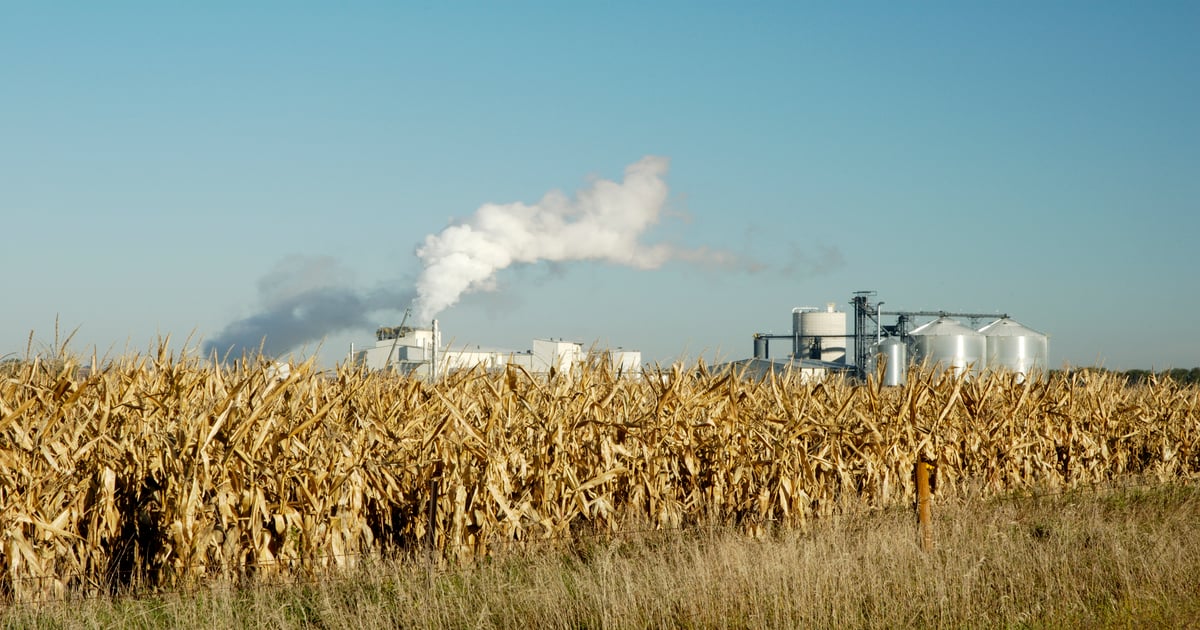 Iowa State study finds RIN proposal would lower corn price