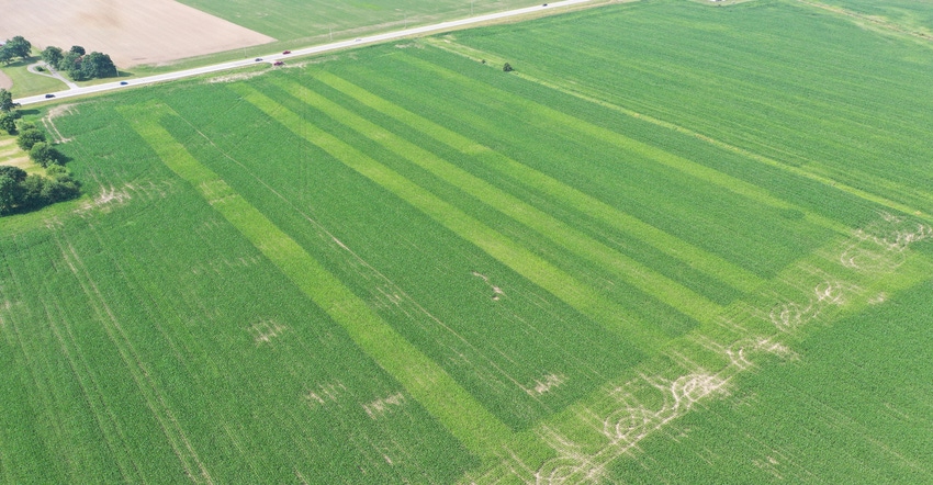 Strips that received sulfur are greener in this aerial view of a cornfield in Shelby County, Ind. 