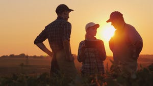 Three farmers talking in a field at sunset