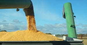 harvested corn being loaded into grain cart