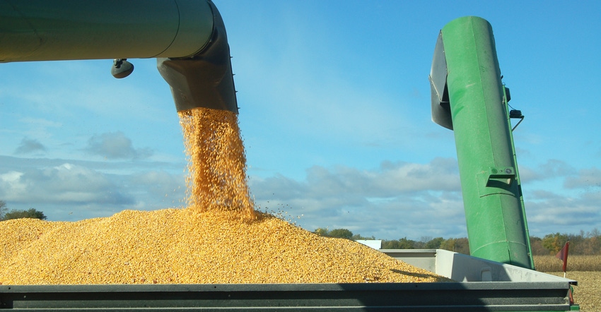 harvested corn being loaded into grain cart