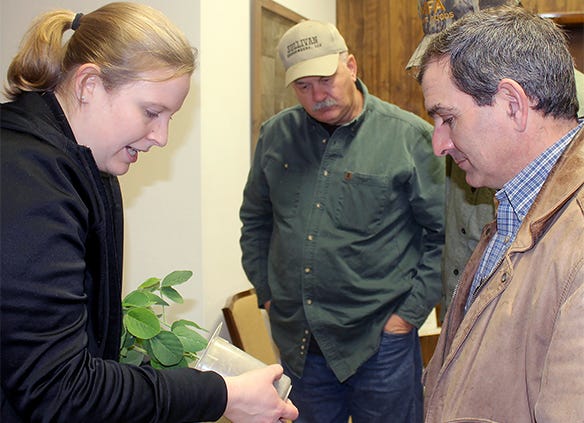 Kaitlyn Bissonnette (left) shows roots of soybean plant