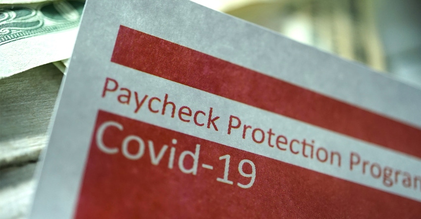 The COVID Paycheck Protection Program 